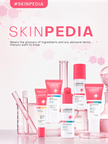 Skinpedia